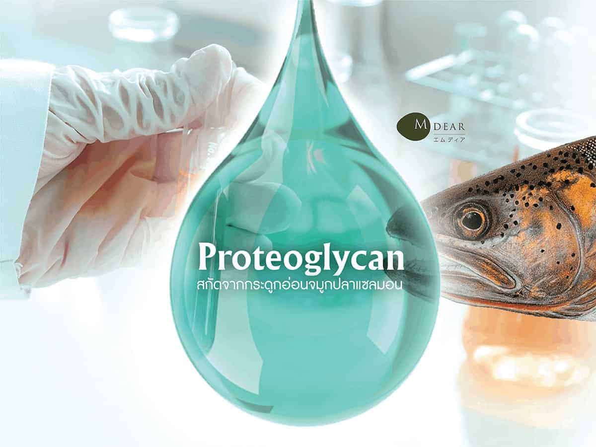 Why are proteoglycans important?